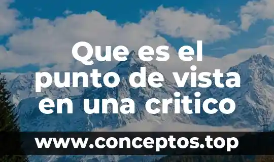 Que es el punto de vista en una critico