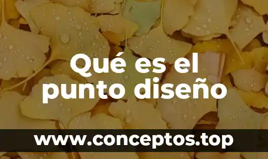Qué es el punto diseño