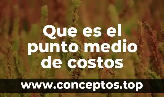 Que es el punto medio de costos