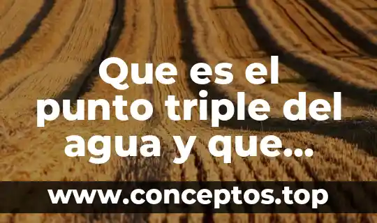 Que es el punto triple del agua y que implica