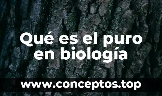 Qué es el puro en biología