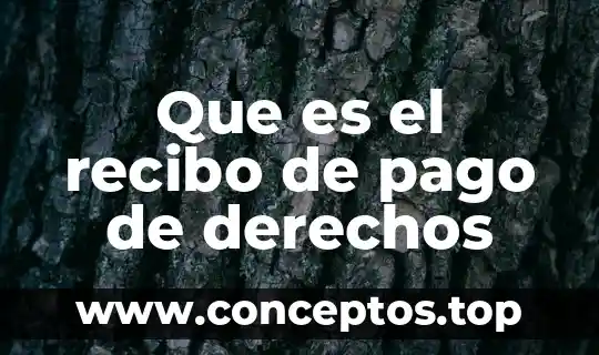 Que es la administracion de pago 3 Que es el recibo de pago de derechos