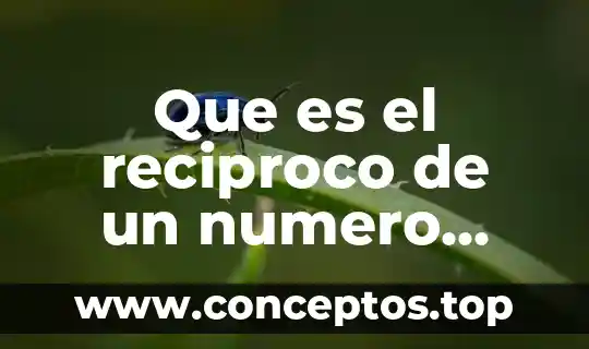 Que es el reciproco de un numero fraccionario