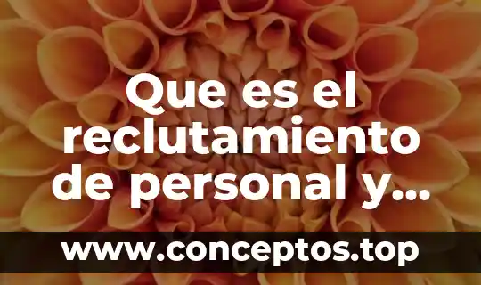 Que es el reclutamiento de personal y los pasos