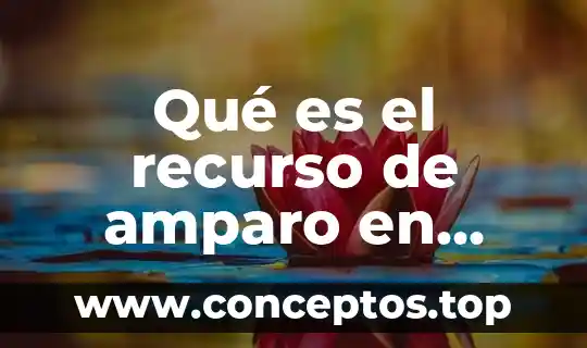 Qué es el recurso de amparo en México