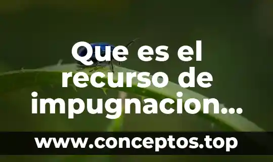 Que es recurso de revocacion en materia judicial 3 Que es el recurso de impugnacion cndh