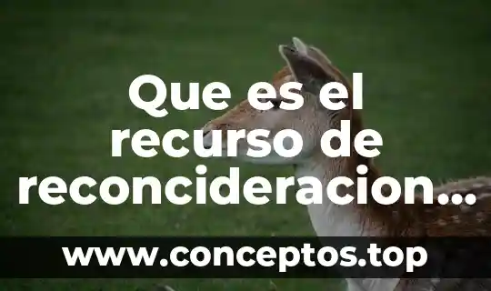 Que es el recurso de reconcideracion en mexico