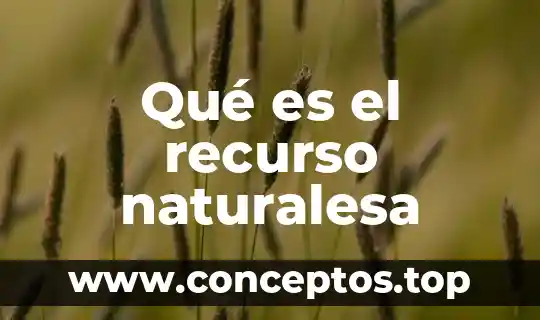 Qué es el recurso naturalesa