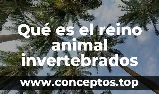 Qué es el reino animal invertebrados