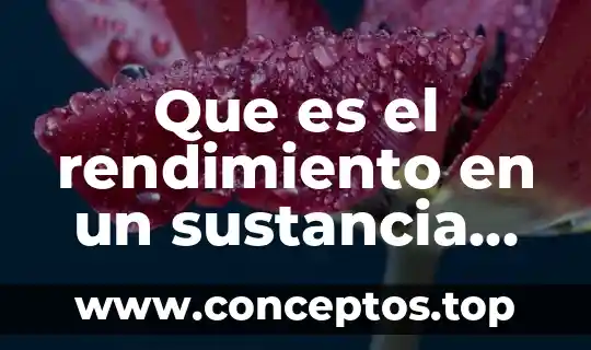 Que es una sustancia elemento y compuesto 4 Que es el rendimiento en un sustancia química