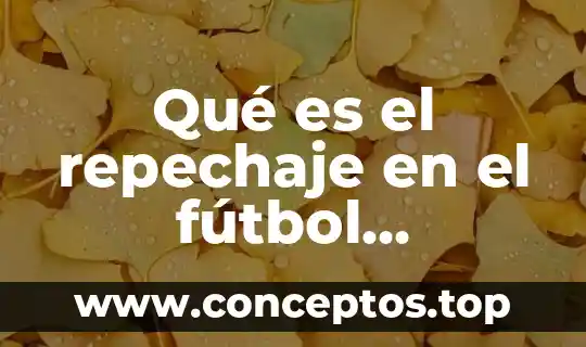 Que es un signo vital y su importancia 5 Qué es el repechaje en el fútbol mexicano