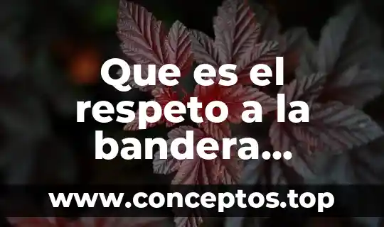 Que es el respeto a la bandera mexicana