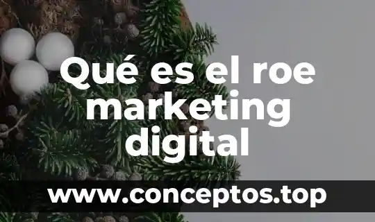 Que es una idea en marketing 8 Qué es el roe marketing digital