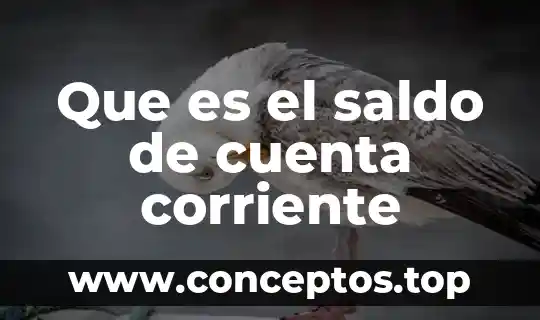 Que es una cuenta bancaria ipid 6 Que es el saldo de cuenta corriente