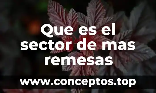 Que es el sector de mas remesas