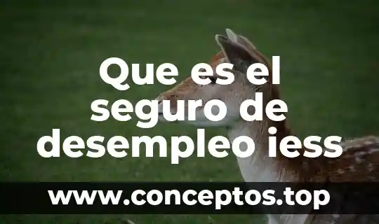 Que es el seguro de separación individualizado 6 Que es el seguro de desempleo iess