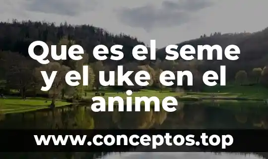 Que es el seme y el uke en el anime
