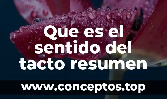 Que es el sentido del tacto resumen