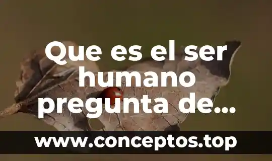 Para la filosofía que es el cuerpo humano 5 Que es el ser humano pregunta de las ciencias sociales