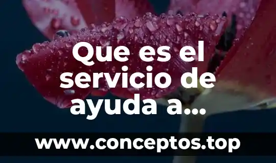 Que es el servicio de ayuda a domicilio