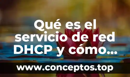 Estimación del tamaño del mensaje red que es 5 Qué es el servicio de red DHCP y cómo funciona