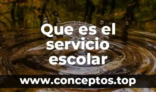 Que es el servicio escolar