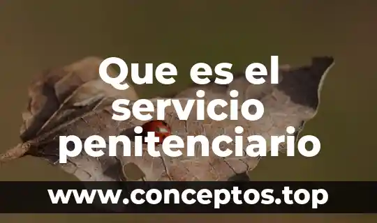 Que es el servicio penitenciario
