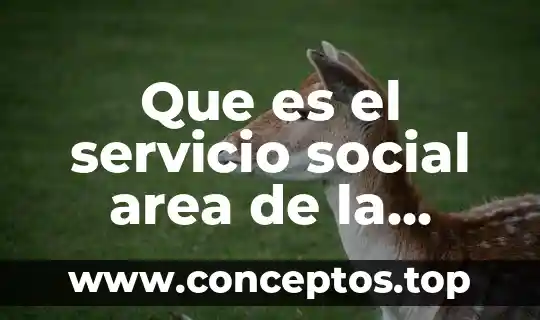 Que es social espace today 3 Que es el servicio social area de la salud