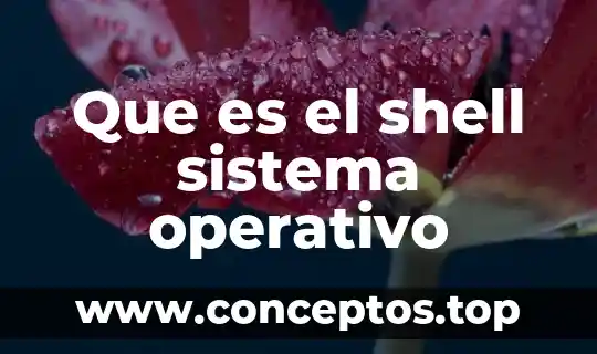 Que es el shell sistema operativo