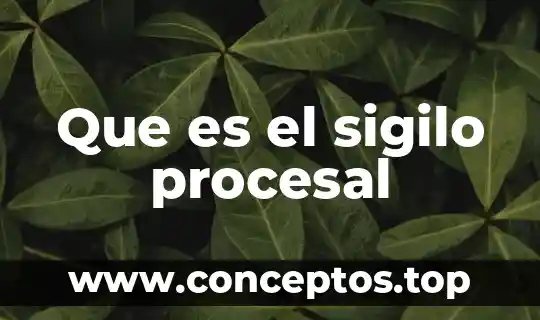 Que es el sigilo procesal