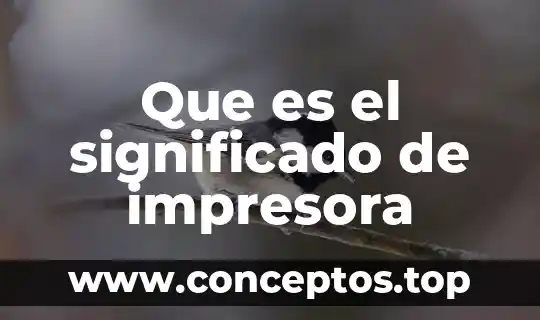 Qué es las tres erres definición significado y concepto 8 Que es el significado de impresora