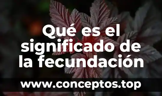 Que es desmesura significado 5 Qué es el significado de la fecundación