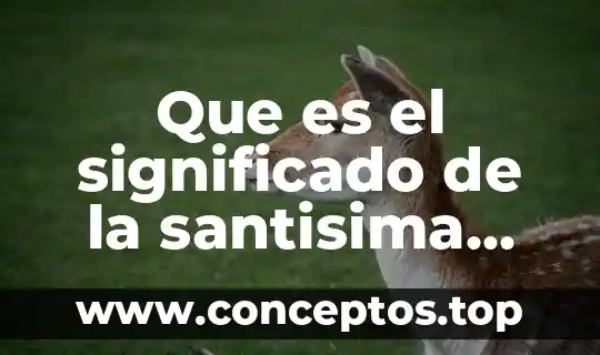 Que es suburbios significado 7 Que es el significado de la santisima trinidad