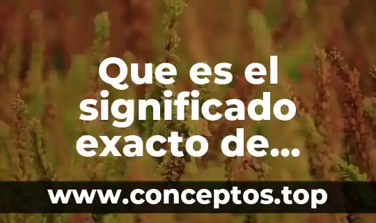 Que es el significado exacto de fortis fortuna adiuvat