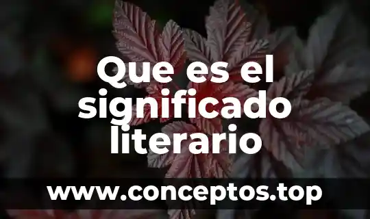 Que es el significado literario