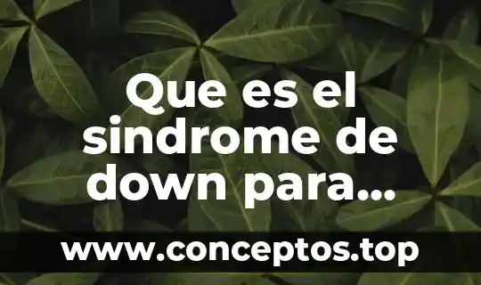 Que es la enfermedad síndrome de down 5 Que es el sindrome de down para niños de primaria