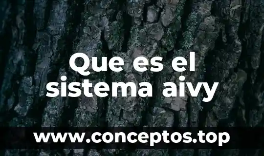 Que es el sistema latino 4 Que es el sistema aivy