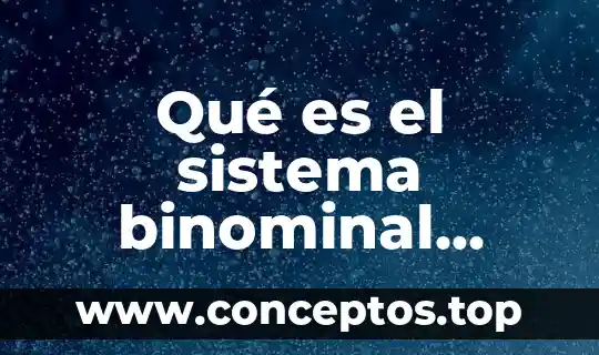 Shampoo sistema gb que es 3 Qué es el sistema binominal Yahoo