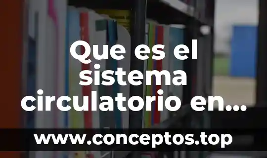 Que es el sistema circulatorio en ingles