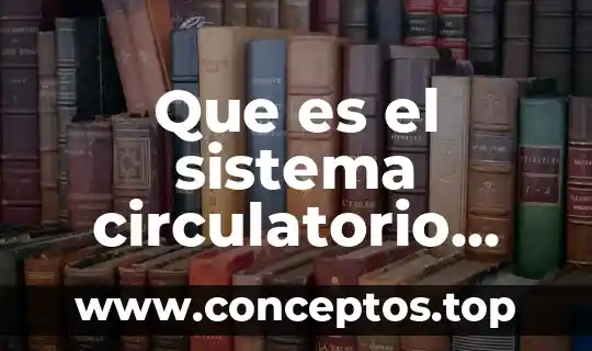 Que es el sistema circulatorio humano