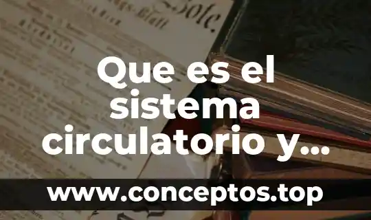 Que es el sistema circulatorio y los