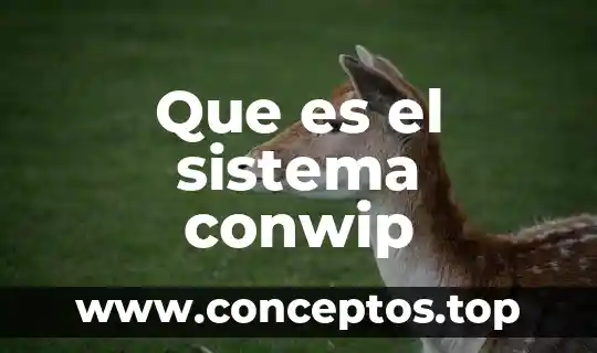 Que es el sistema conwip