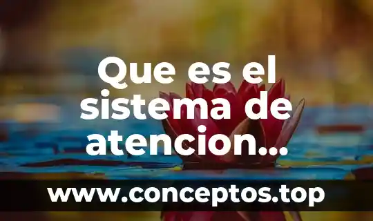 Que es el sistema de atencion reticular