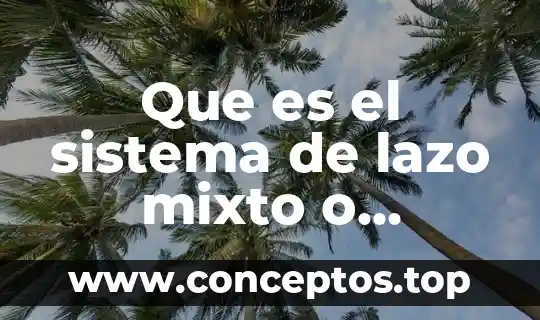 Que es un lazo ambiental 3 Que es el sistema de lazo mixto o combinado