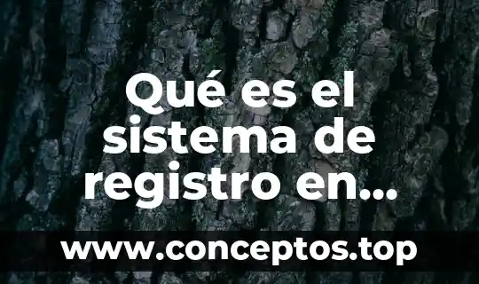 Qué es pintura prehispánica características 3 Qué es el sistema de registro en contabilidad