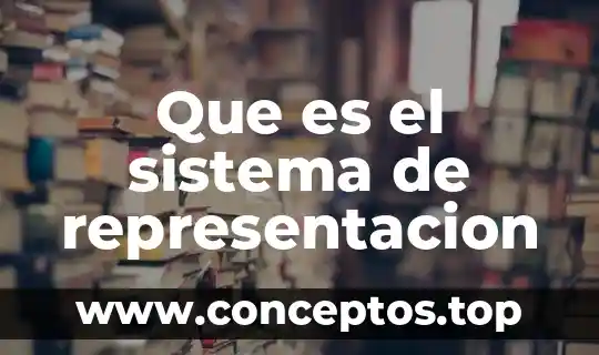 Que es el sistema de representacion