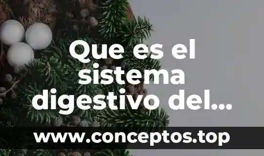 Que es un sistema de gestion automatizado 7 Que es el sistema digestivo del ser humano