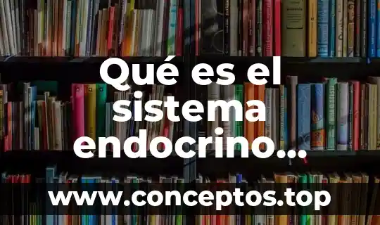 Qué es el sistema endocrino difuso