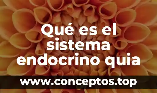 Qué es el sistema endocrino quia