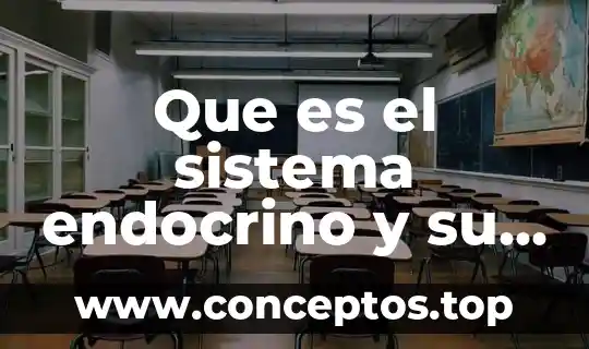 Que es el sistema endocrino y su falta de agua